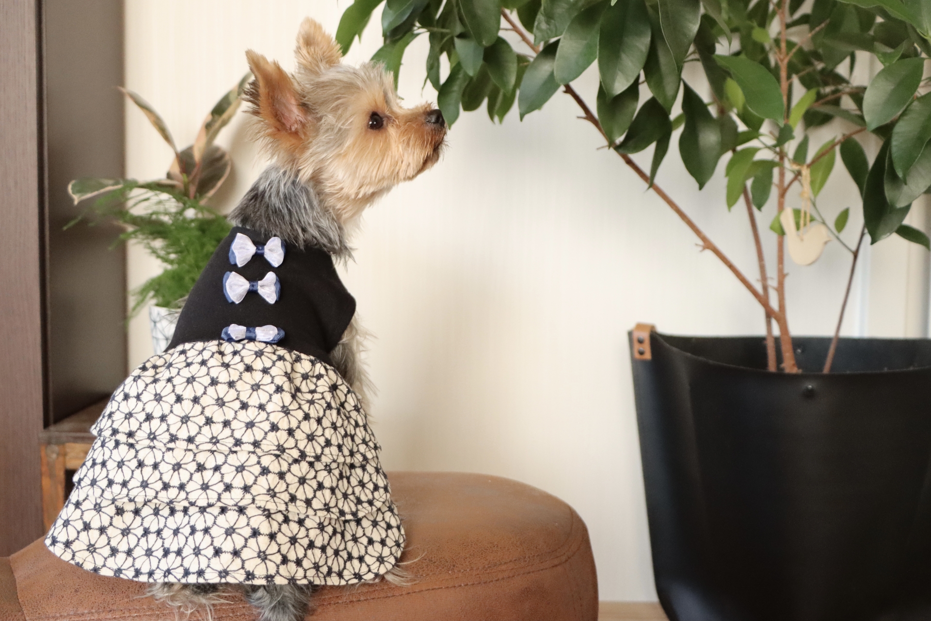 犬服ハンドメイド♡オーダー受付中♡トナカイ柄